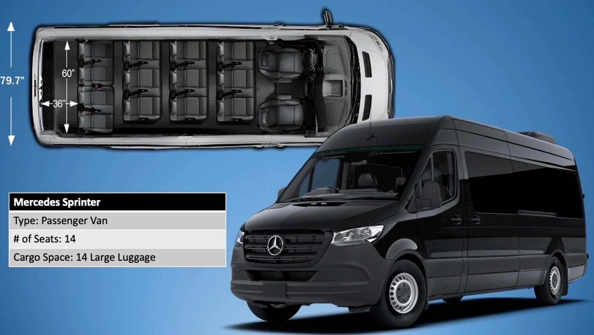 Mercedes Sprinter — 14 seats, cargo space for 14 large bags
