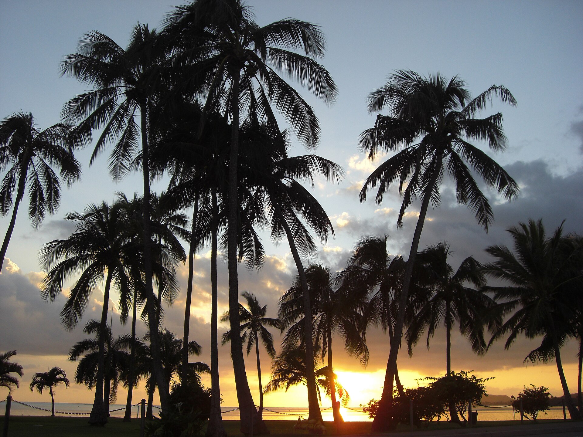 Waikiki Beach, Oahu — Kalākaua Avenue beachfront with palm trees and morning light looking toward Diamond Head