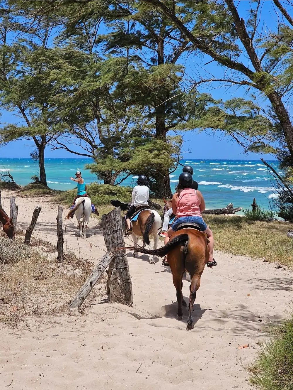 Riders on horseback along the beach at Mokuʻleʻia on Oahu's North Shore