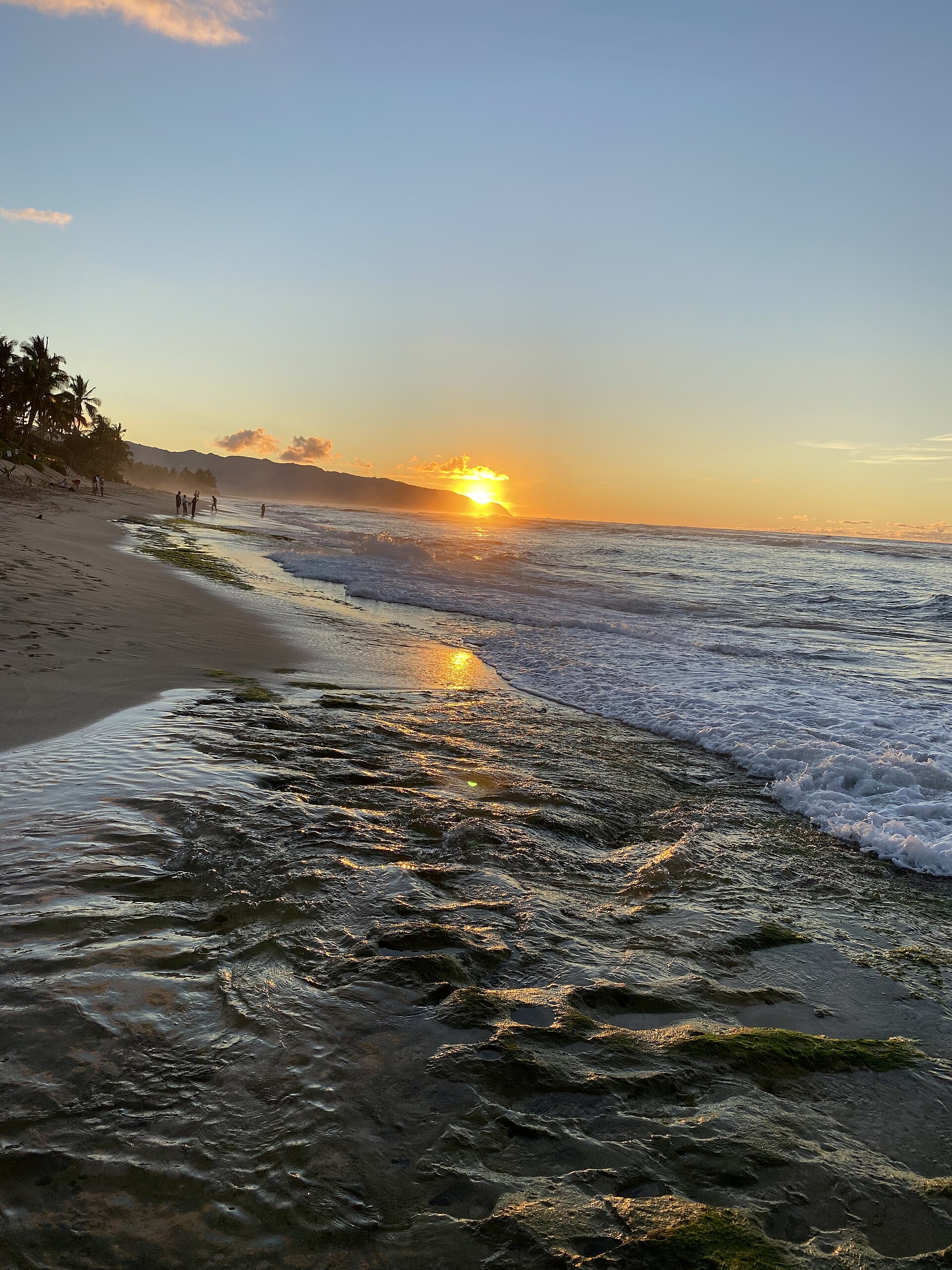 Laniakea Beach, Oahu — Hawaiian green sea turtle resting on sand at Turtle Beach