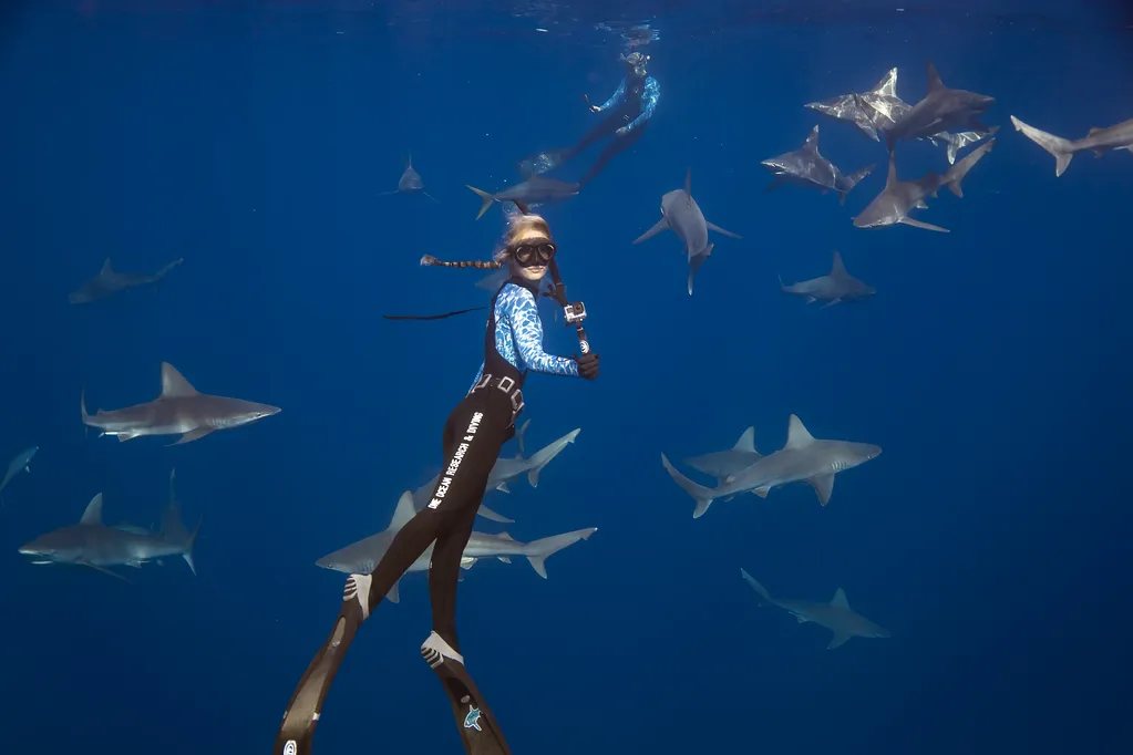 Snorkeler swimming cage-free beside a shark in open blue water