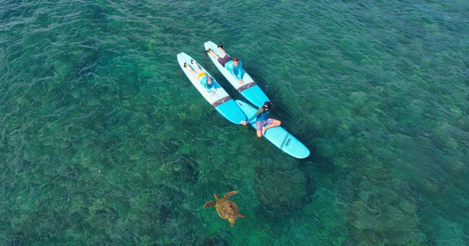 A private surf lesson on clear water at Turtle Bay with a green sea turtle below
